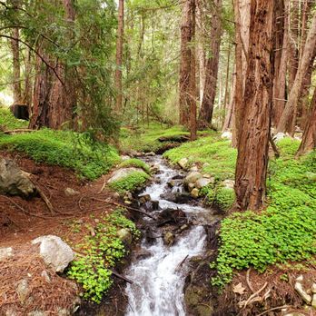 Mill Creek Trail - Hiking Near Me - Big Sur, California