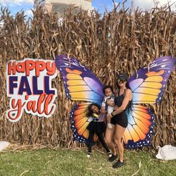 Boca Pumpkin Patch Festival