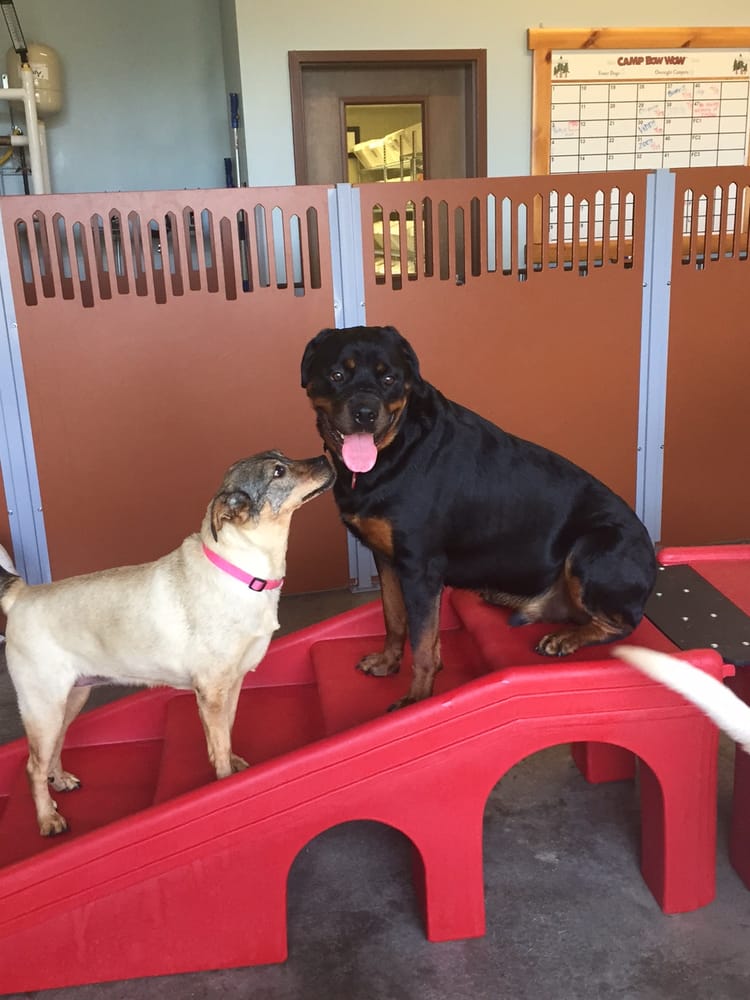 CAMP BOW WOW LAWRENCEVILLE Updated September 2024 55 Photos & 54