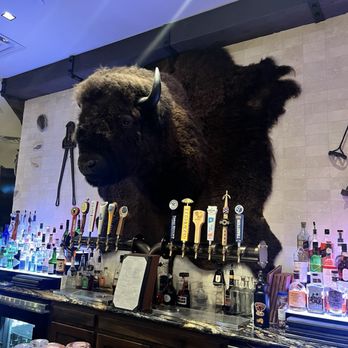 Cork & Bull Chophouse - Steakhouses Near Me - Chesapeake, Virginia Cork & Bull Chophouse - Steakhouses Near Me - Chesapeake, Virginia