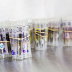 The Dispensary - Green Bay East - H4H Cartridges