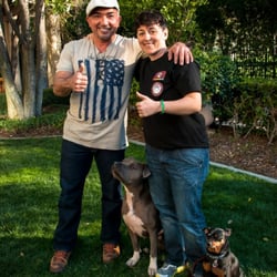 Canine Solutions Dog Training - Cesar Millan & Drew Warner brDog Psychology Centre brLos Angeles