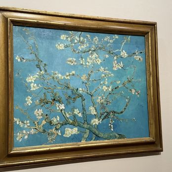 Van Gogh Museum - Teared up - Museums Near Me - Amsterdam, New Hampshire