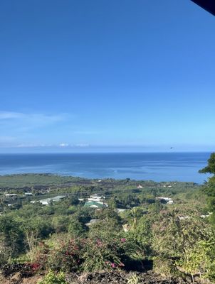 Kona Palace in Captain Cook by null