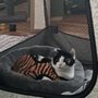 Lonestar Feline Health Center