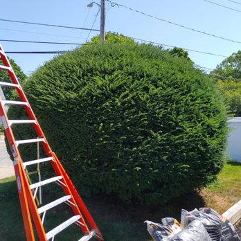 DRM Landscaping - Landscaping Near Me DRM Landscaping - Landscaping Near Me