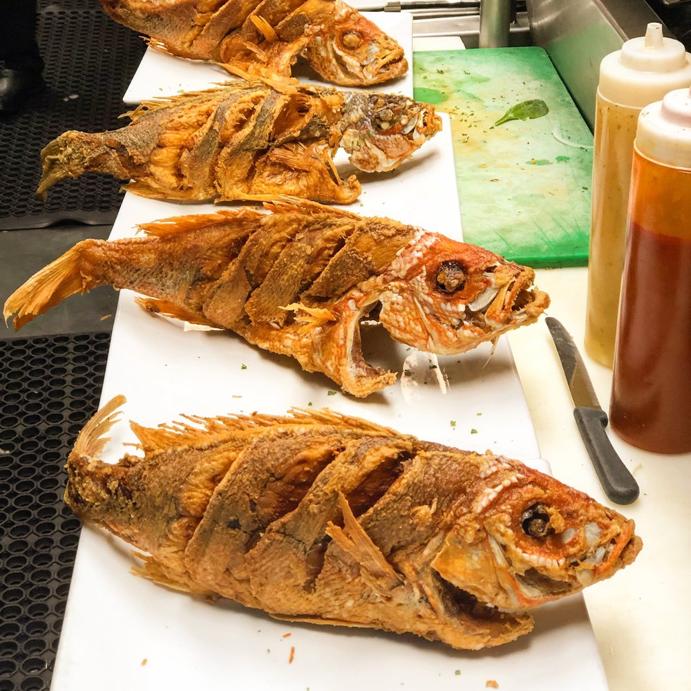 Catch Of The Day