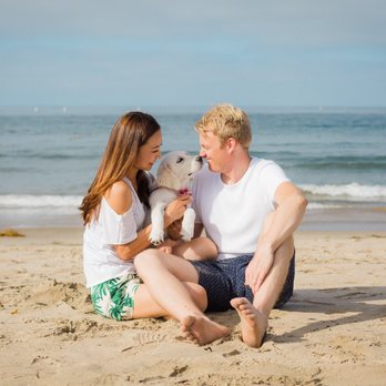 Frame Your Pet - Photographers Near Me