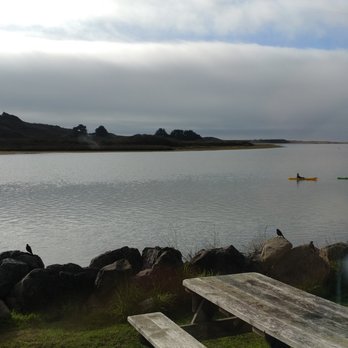 Cafe Aquatica - Looking out at the Russian River from Cafe Aquatica in Jenner CA - Coffee & Tea Near Me - Jenner, California