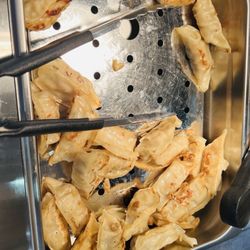 Taste Of Japan - Peking dumplings