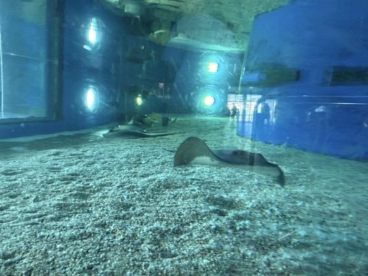 L’Aquàrium de Barcelona by null