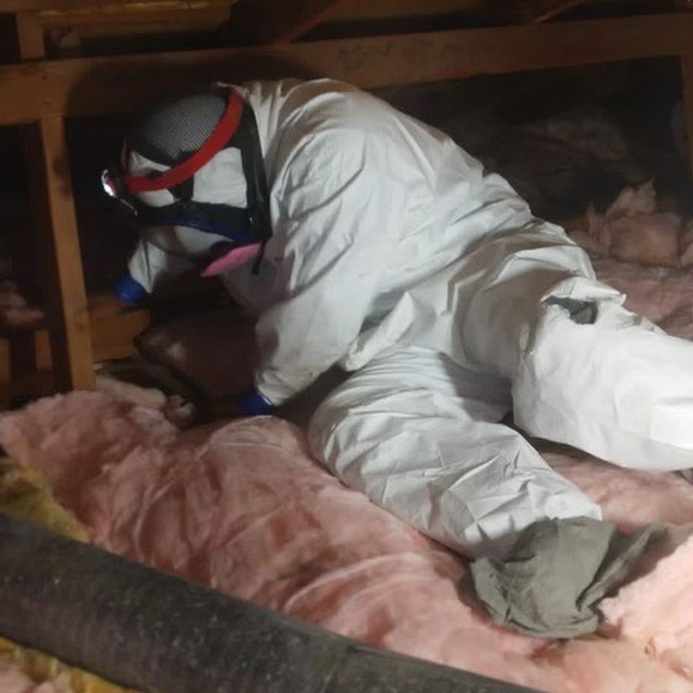 Reactic Restoration - Damage Restoration Near Me - Sacramento, California