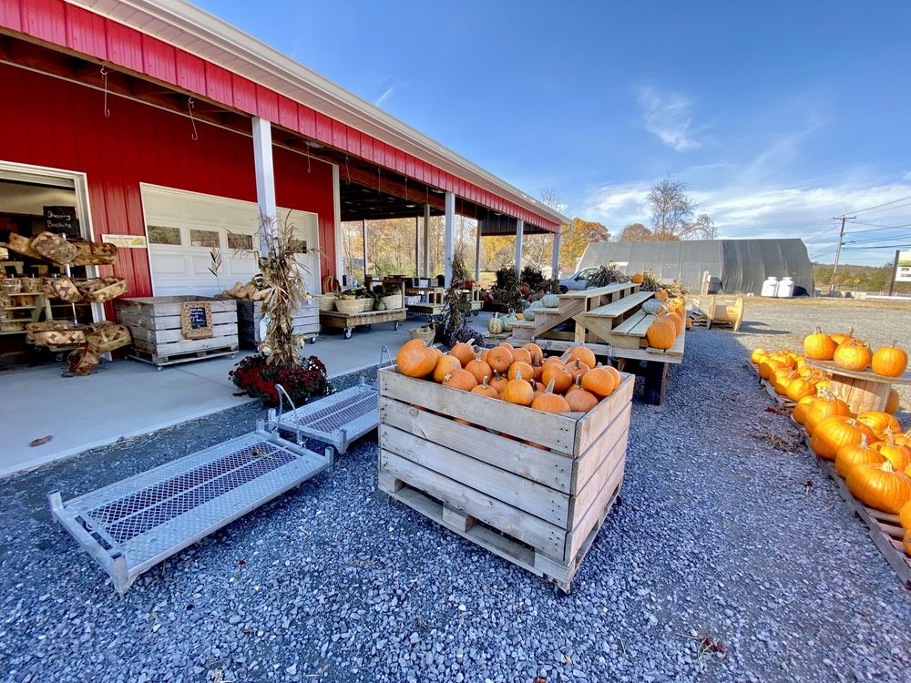 MEISNER’S HERITAGE FARM Updated September 2024 158 Photos 3771 US 9, Hudson, New York