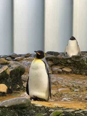 Zoo Basel by null