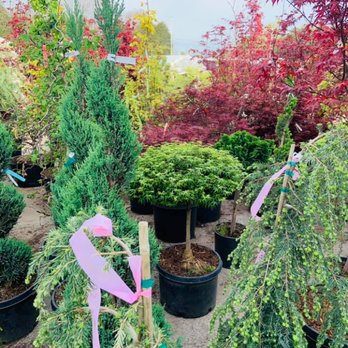 More Than Plants - Nurseries & Gardening Near Me - Strawberry Plains, Tennessee More Than Plants - Nurseries & Gardening Near Me - Strawberry Plains, Tennessee