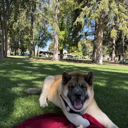 Porter Park - Zelda smiles.