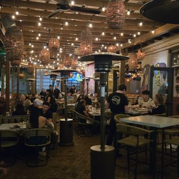 Rocco's Tacos & Tequila Bar - Mexican Near Me - Sarasota, Florida Rocco's Tacos & Tequila Bar - Mexican Near Me - Sarasota, Florida