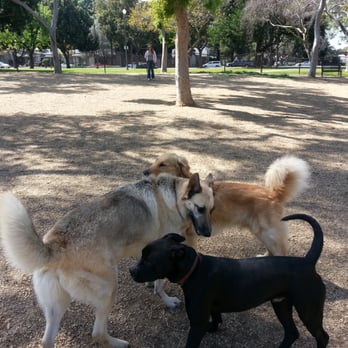 Uptown Dog Park - Dog Parks Near Me - Long Beach, California Uptown Dog Park - Dog Parks Near Me - Long Beach, California