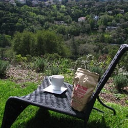 Rogue Elephant Coffee Roasting Company - This coffee is a warm cup of perfection.