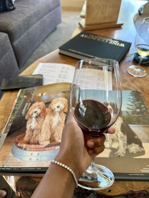 The Wine Thief by null
