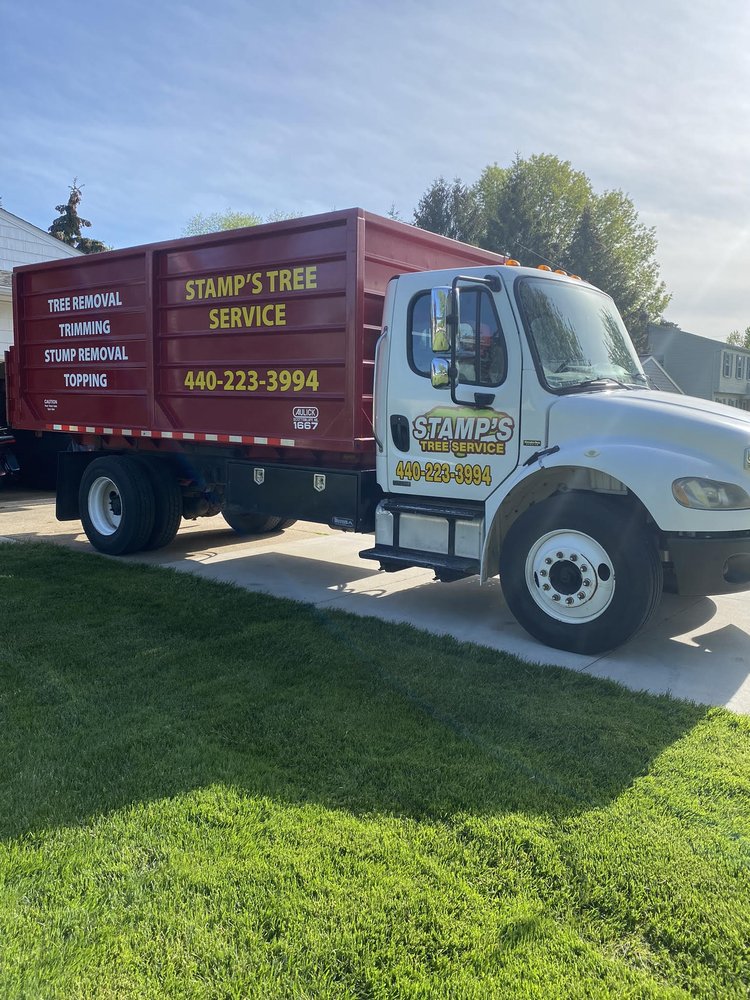 Stamp's Tree Service - tree service in Mentor, OH