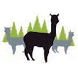 Firwood Farm Alpacas - Stop by! The alpacas LOVE visitors!!!