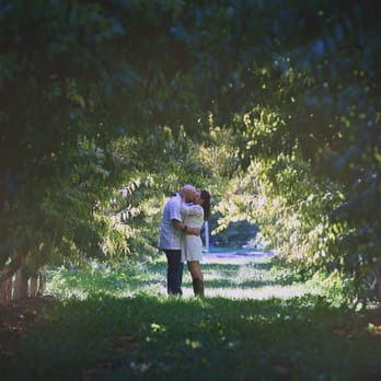 High Country Orchards - A moment alone at High Country Orchards ~Wedding Day 9/22/14 - Attraction Farms Near Me - Palisade, Colorado High Country Orchards - A moment alone at High Country Orchards ~Wedding Day 9/22/14 - Attraction Farms Near Me - Palisade, Colorado