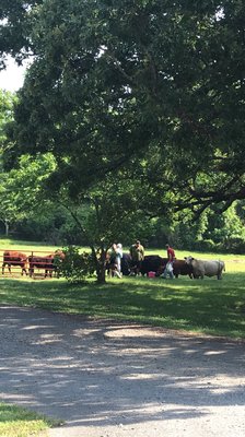 St. Joseph Farm by null