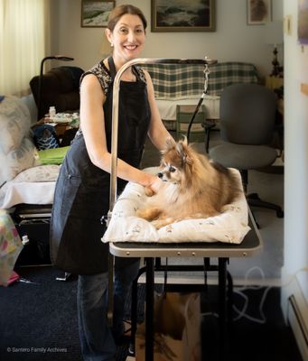 At Your Home Grooming