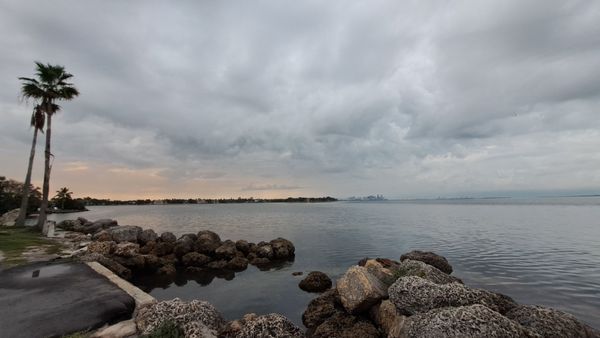 Matheson Hammock Park & Marina by null