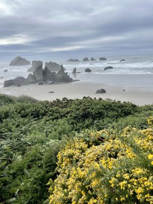 Face Rock State Scenic Viewpoint by null