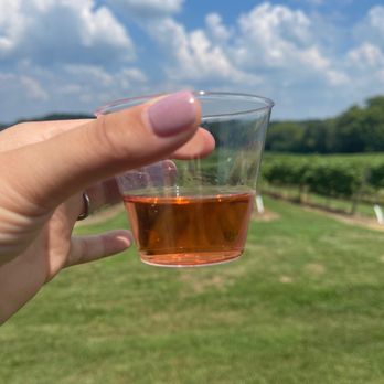 Arrington Vineyards - Wine Tasting Room Near Me - Arrington, Tennessee