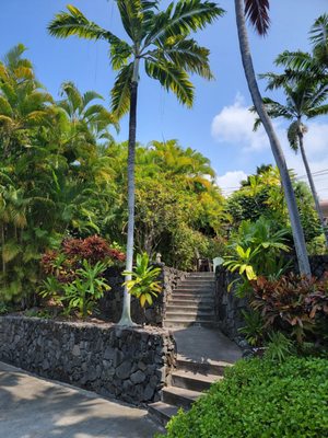 Big Island Retreat by null