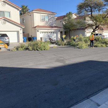 Green America Tree & Landscaping - From chop down to completely done was less than a half hour!!! - Landscaping Near Me - Henderson, Nevada Green America Tree & Landscaping - From chop down to completely done was less than a half hour!!! - Landscaping Near Me - Henderson, Nevada