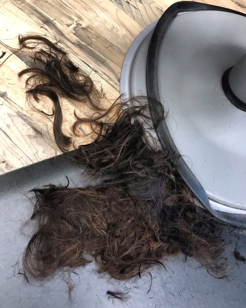 GREAT CLIPS near you at 1801 E 51st, Austin, Texas 42 Reviews Hair