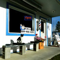 Chewelah Valley Barber Shop - Cat visits Chewelah Valley Barber Shop