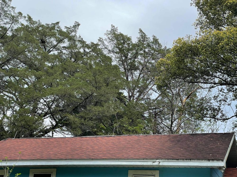 Slide of Clean To Be