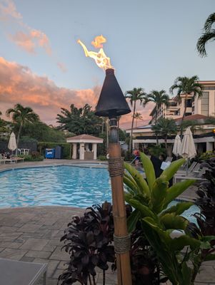 Maui Coast Hotel by null
