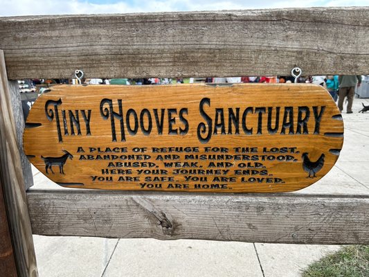 Tiny Hooves Animal Sanctuary by null
