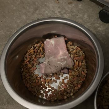 Deli Delicious - This is the sandwich meat in my dogs bowl. - Sandwiches Near Me - Fresno, California Deli Delicious - This is the sandwich meat in my dogs bowl. - Sandwiches Near Me - Fresno, California