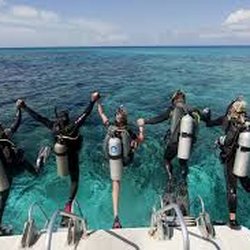 Scubadelphia Diveseekers