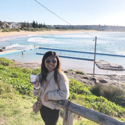 Curl Curl Beach - The view.