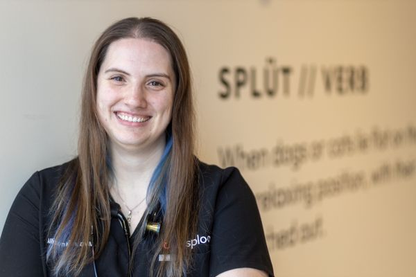 SPLOOT VETERINARY CARE LOGAN SQUARE Updated July 2025 73 Photos SPLOOT VETERINARY CARE LOGAN SQUARE Updated July 2025 73 Photos