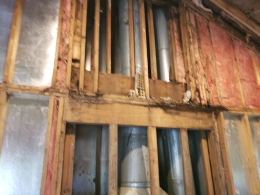 Mold Remediation - Mold remediation is essential to protect your family’s health and your home’s value. Water damage can quickly lead to dangerous mold buildup, putting your loved ones at risk. Don’t wait—call Expert Roofing today to handle water and mold damage safely and effectively.