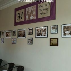 Mucciolo Family Wines
