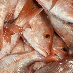 Blue Horizon Wholesale Seafood & Retail Market - American Red Snapper