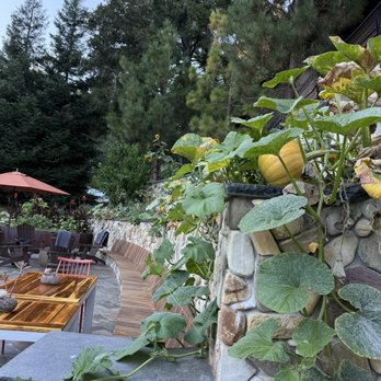 1440 Multiversity - Specialty Schools Near Me - Scotts Valley, California