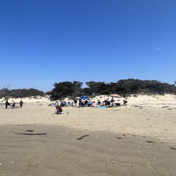 North Beach Campground - Beach,  campsites on the other site of trees - Campgrounds Near Me - Pismo Beach Ca, California