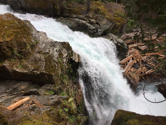 Ohanapecosh Campground by null