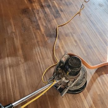 Beeline Floors - Got to love your pets - Flooring Near Me - Columbus, Ohio Beeline Floors - Got to love your pets - Flooring Near Me - Columbus, Ohio